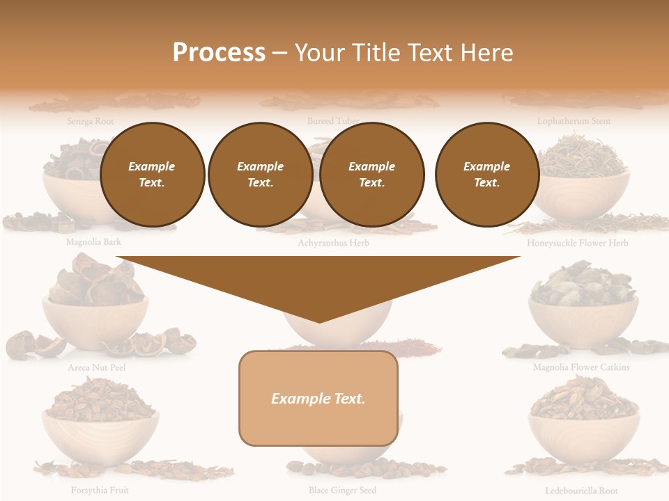 Medicinal Nature Stem PowerPoint Template