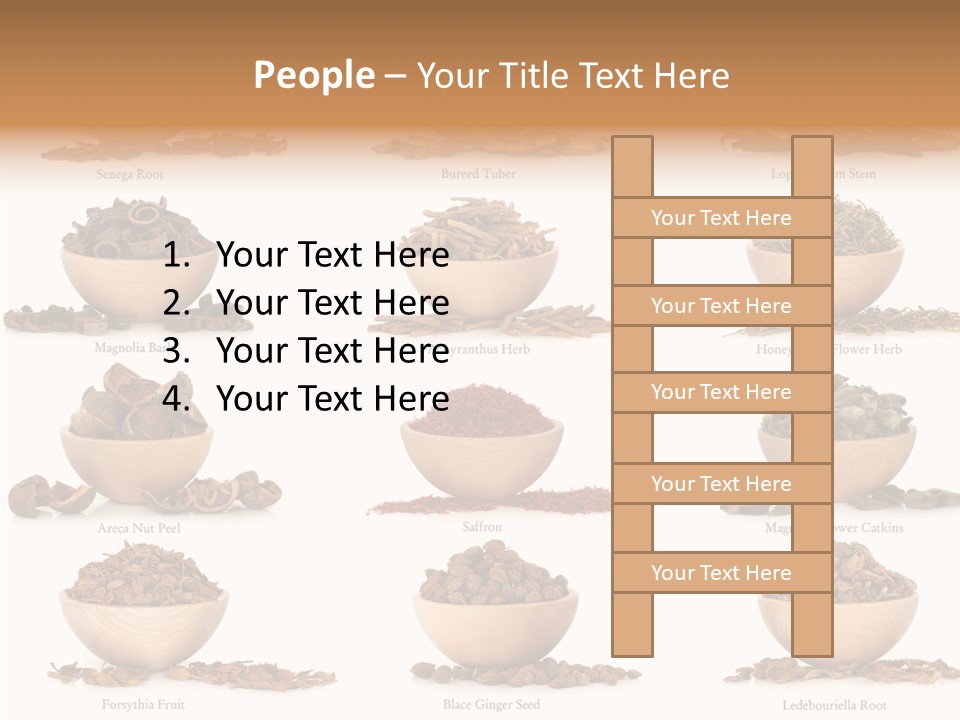 Medicinal Nature Stem PowerPoint Template