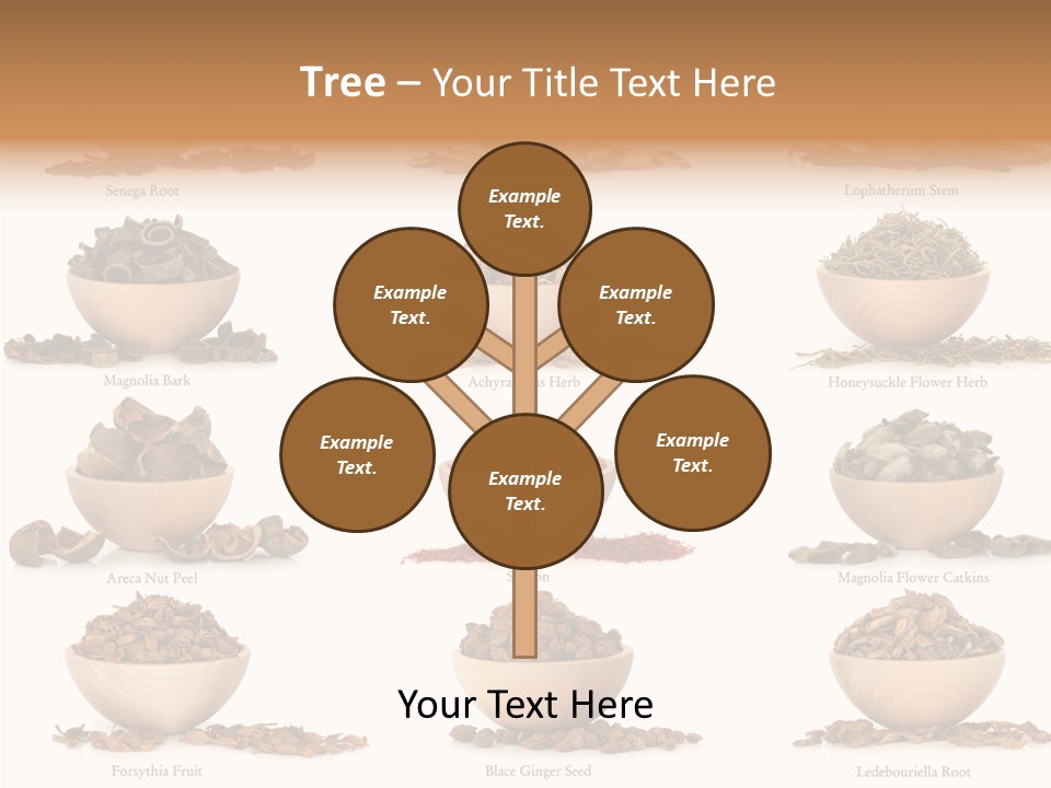 Medicinal Nature Stem PowerPoint Template
