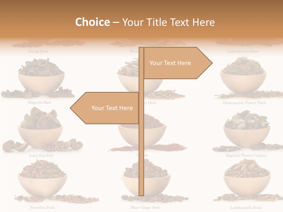 Medicinal Nature Stem PowerPoint Template