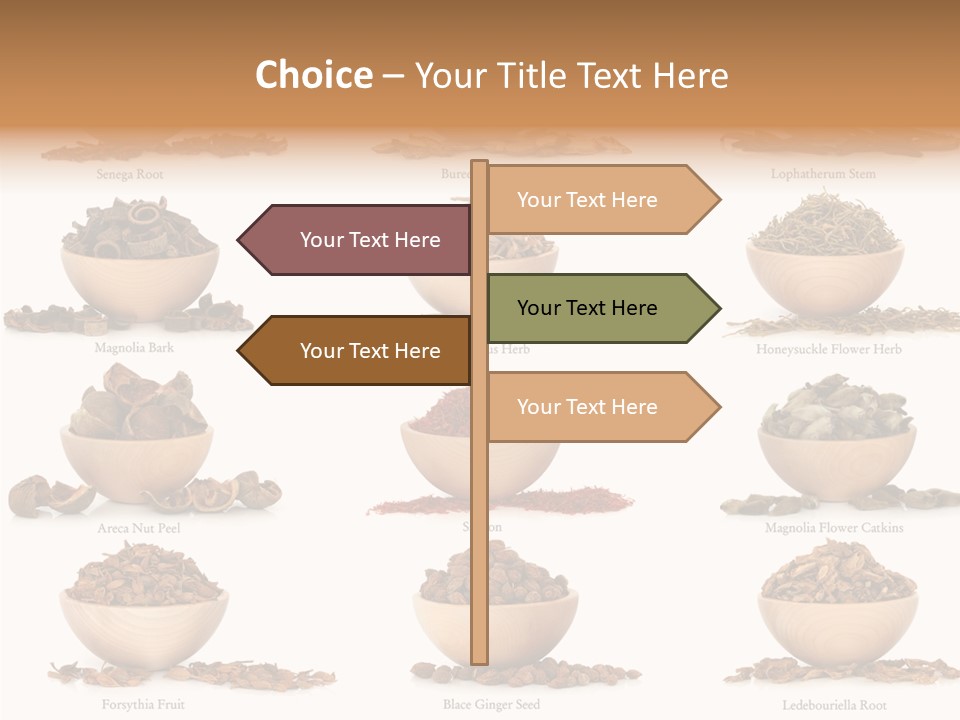 Medicinal Nature Stem PowerPoint Template