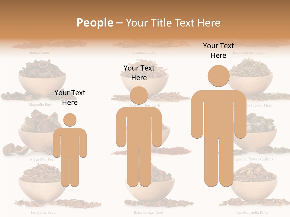 Medicinal Nature Stem PowerPoint Template