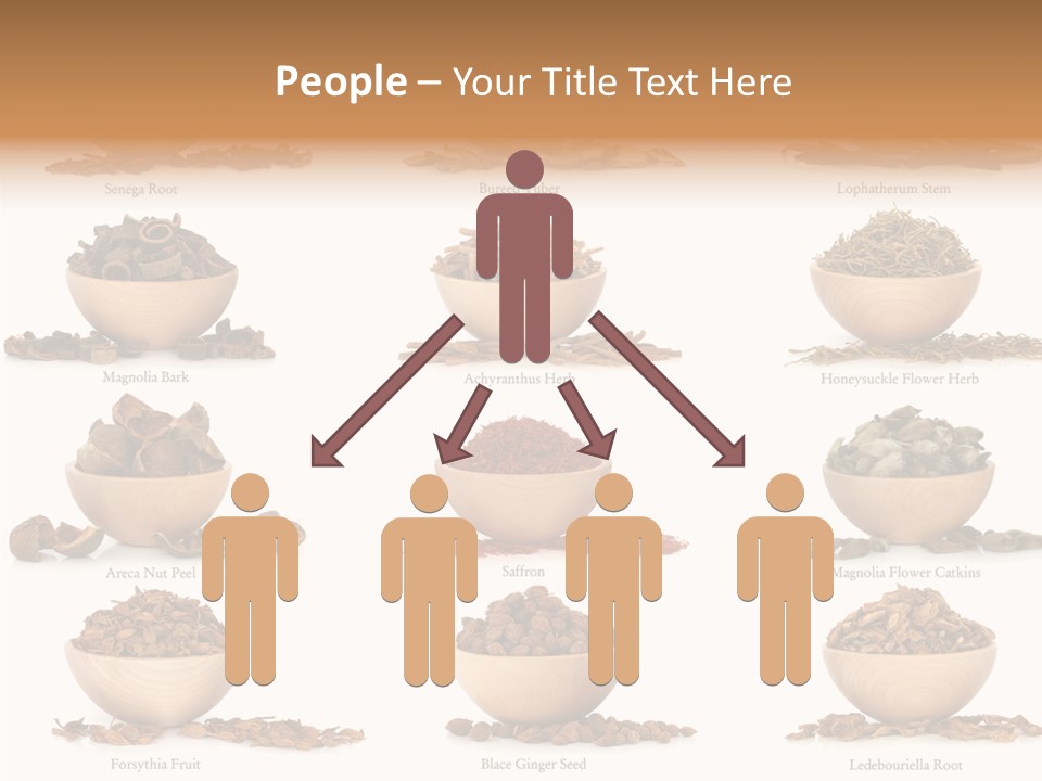 Medicinal Nature Stem PowerPoint Template