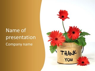 Nature Bright Seeded PowerPoint Template