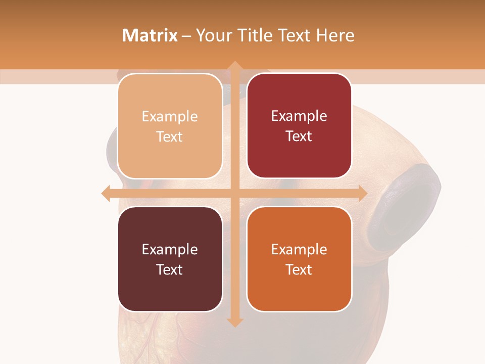 Doctor Body Science PowerPoint Template