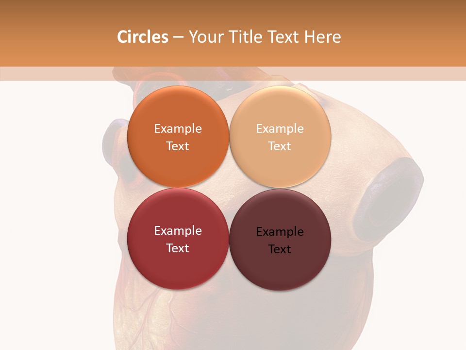 Doctor Body Science PowerPoint Template