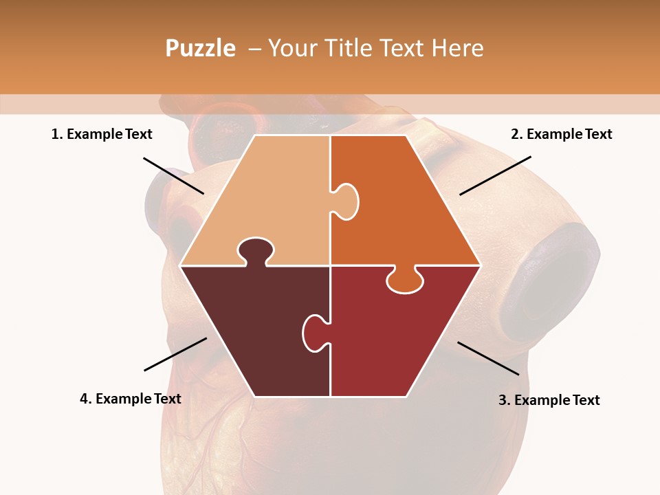 Doctor Body Science PowerPoint Template