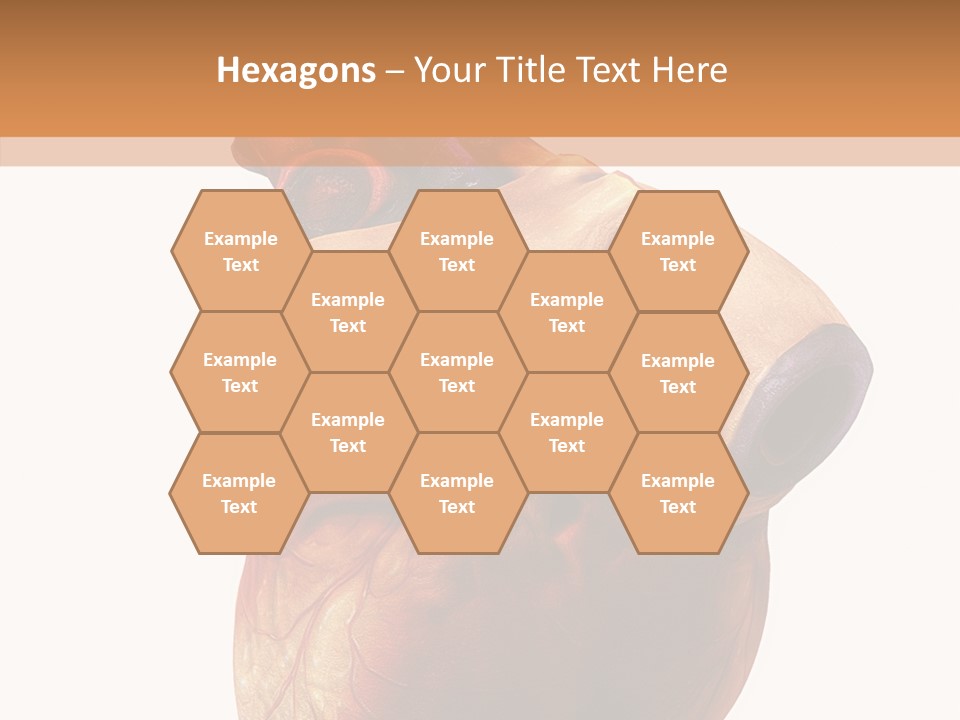 Doctor Body Science PowerPoint Template