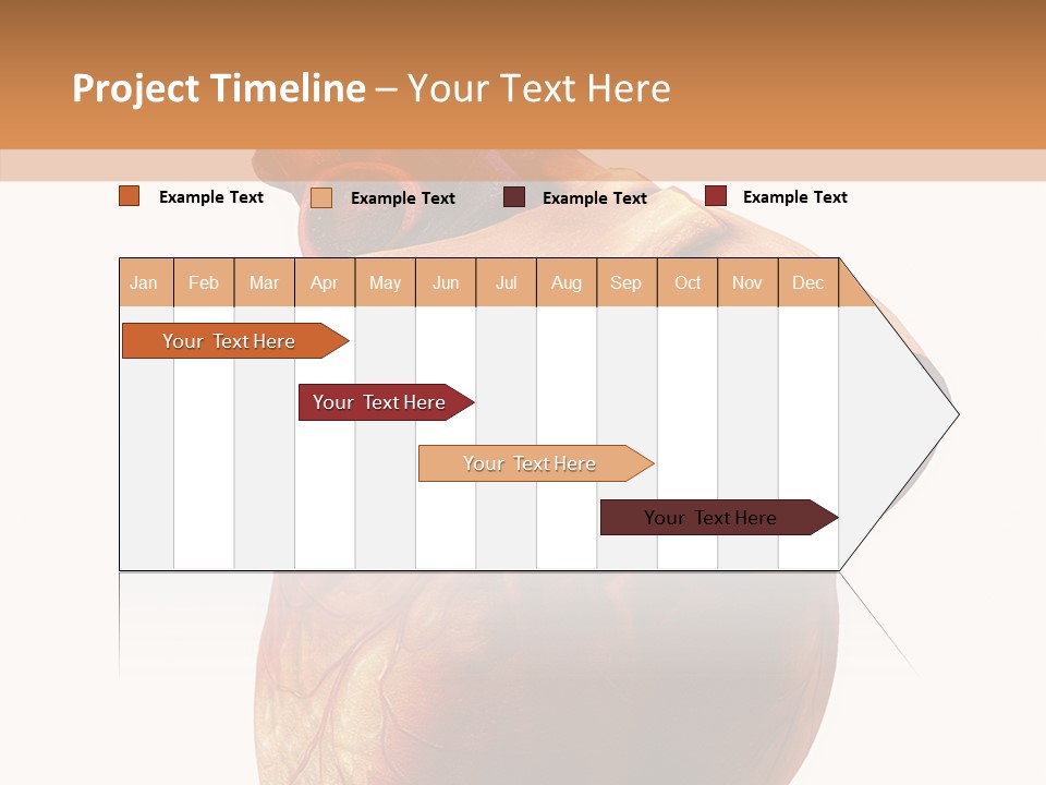Doctor Body Science PowerPoint Template