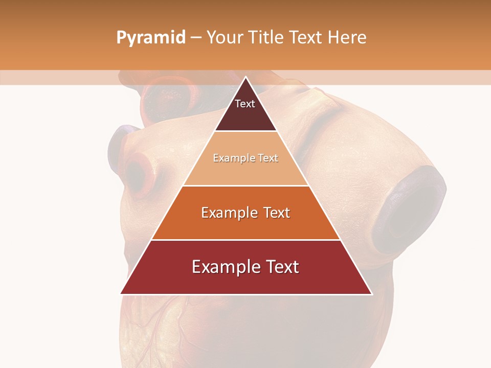 Doctor Body Science PowerPoint Template