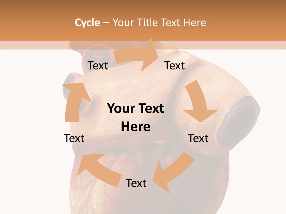 Doctor Body Science PowerPoint Template