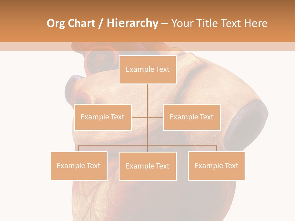 Doctor Body Science PowerPoint Template