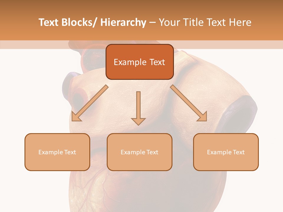 Doctor Body Science PowerPoint Template