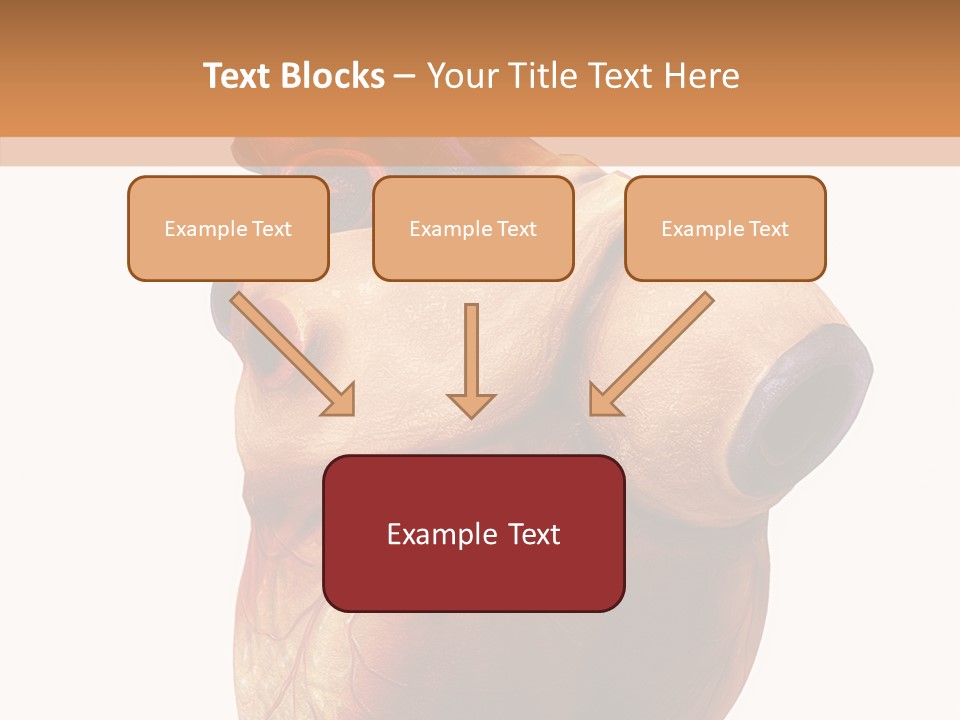 Doctor Body Science PowerPoint Template