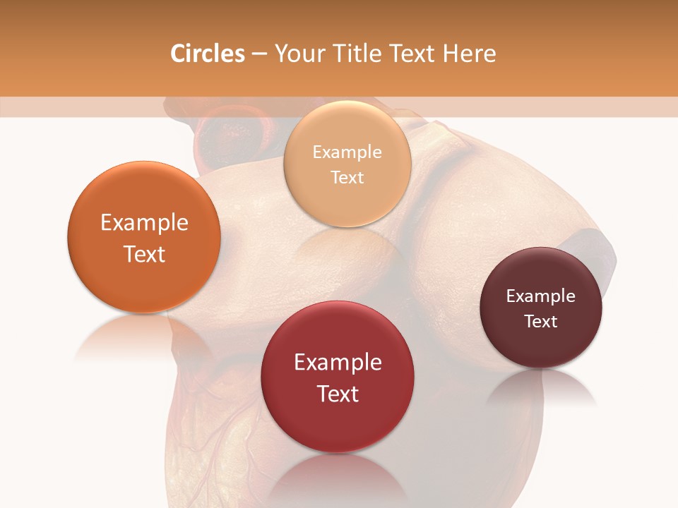 Doctor Body Science PowerPoint Template