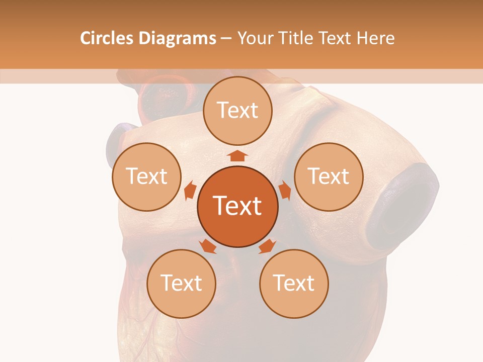 Doctor Body Science PowerPoint Template