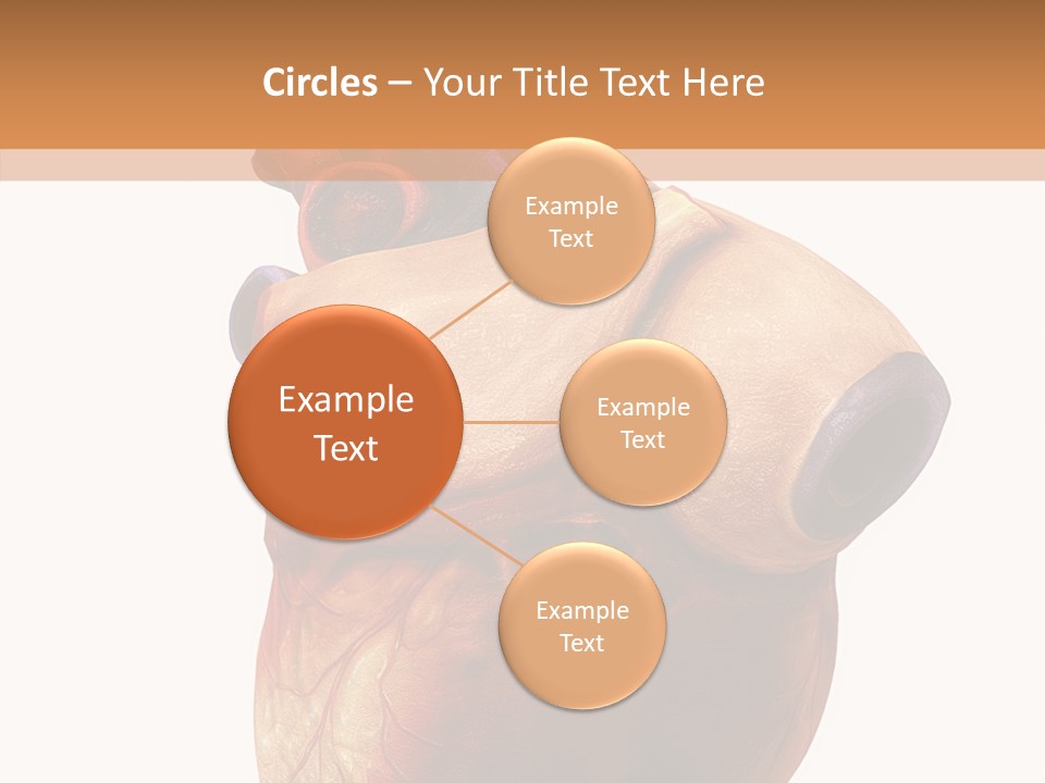 Doctor Body Science PowerPoint Template