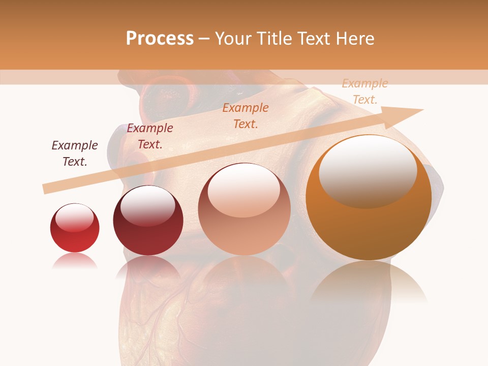 Doctor Body Science PowerPoint Template