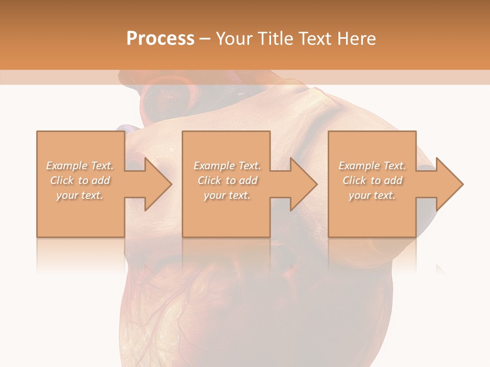Doctor Body Science PowerPoint Template
