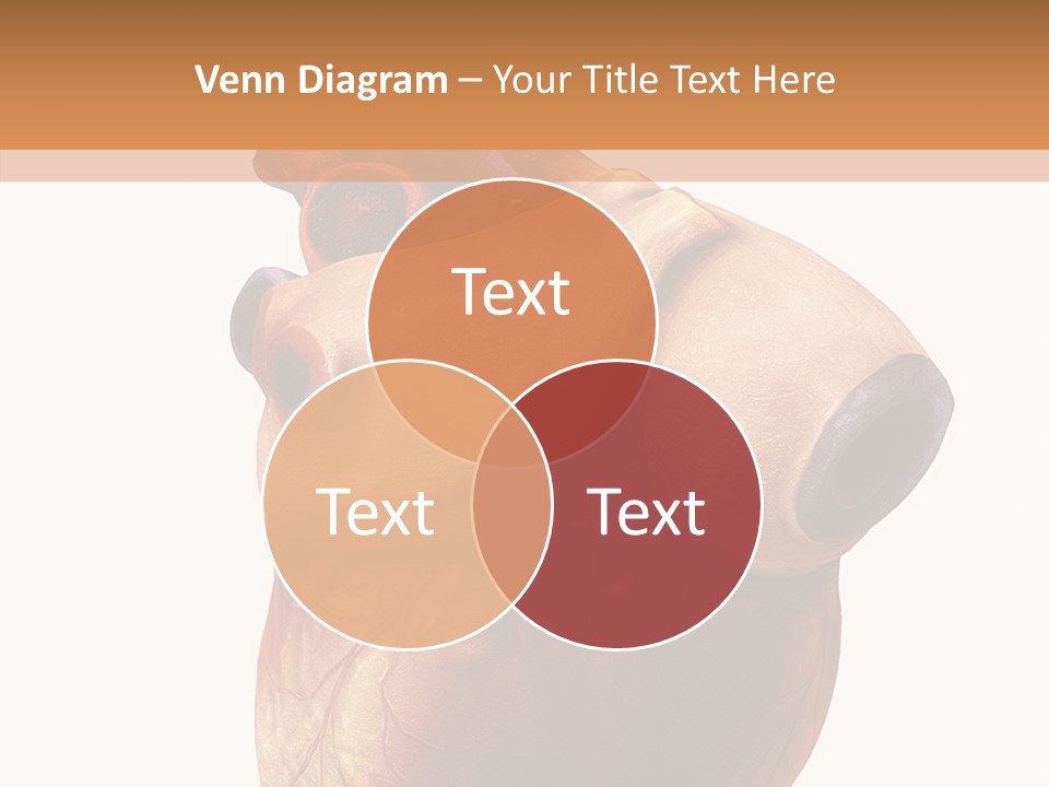 Doctor Body Science PowerPoint Template