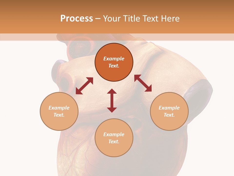 Doctor Body Science PowerPoint Template
