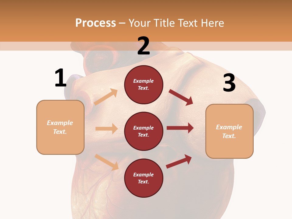 Doctor Body Science PowerPoint Template