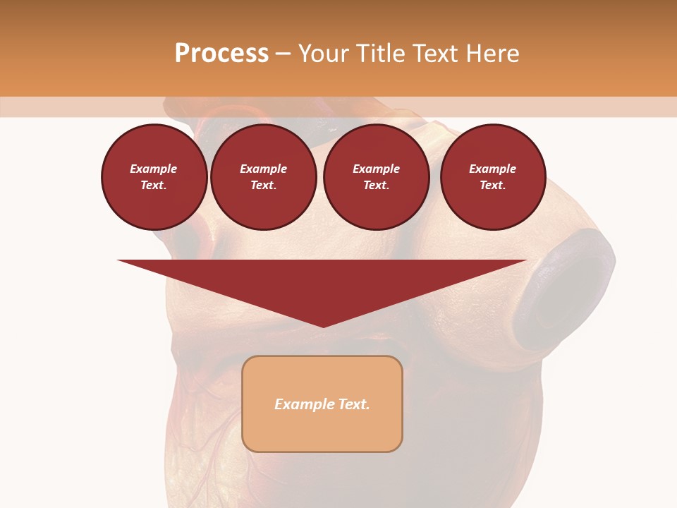 Doctor Body Science PowerPoint Template