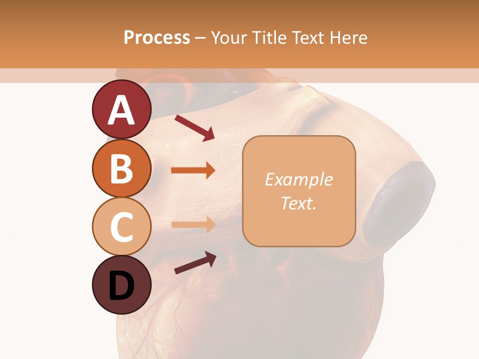 Doctor Body Science PowerPoint Template