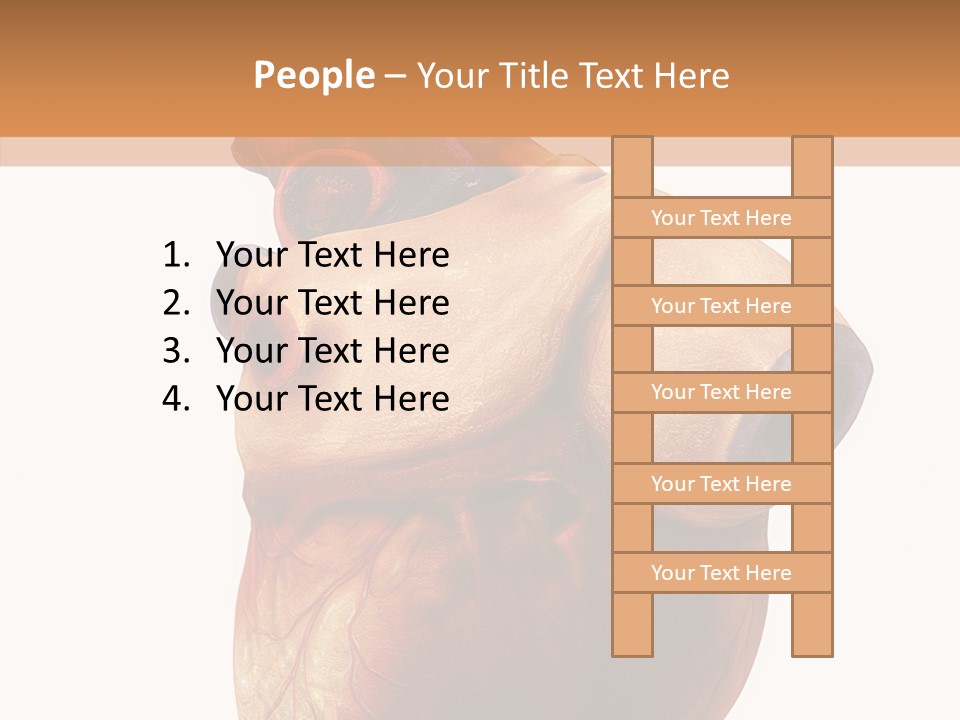 Doctor Body Science PowerPoint Template