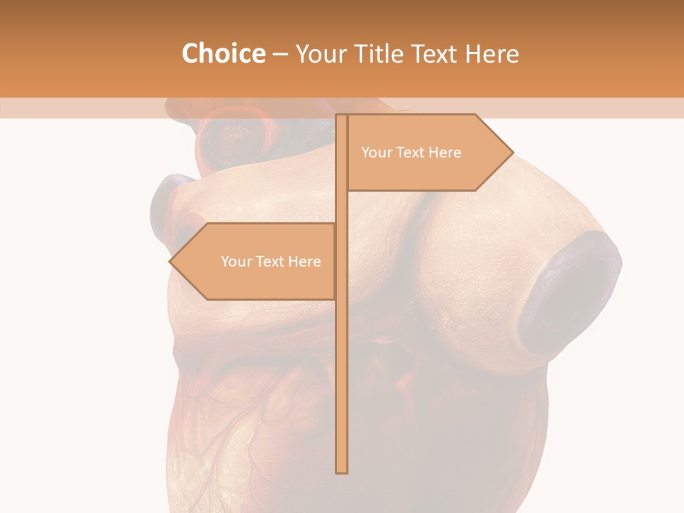 Doctor Body Science PowerPoint Template