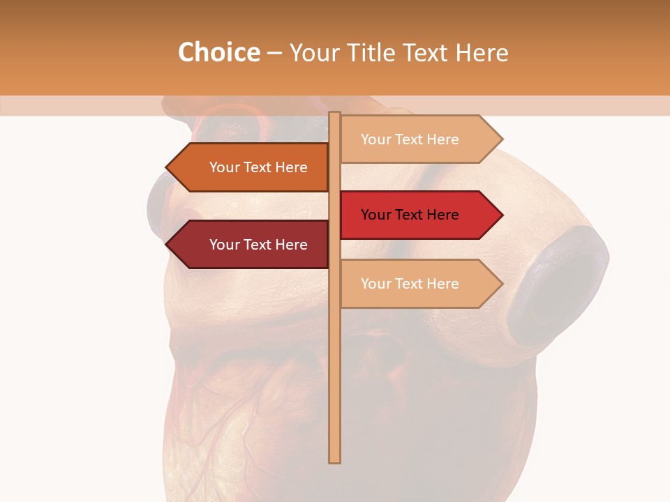 Doctor Body Science PowerPoint Template