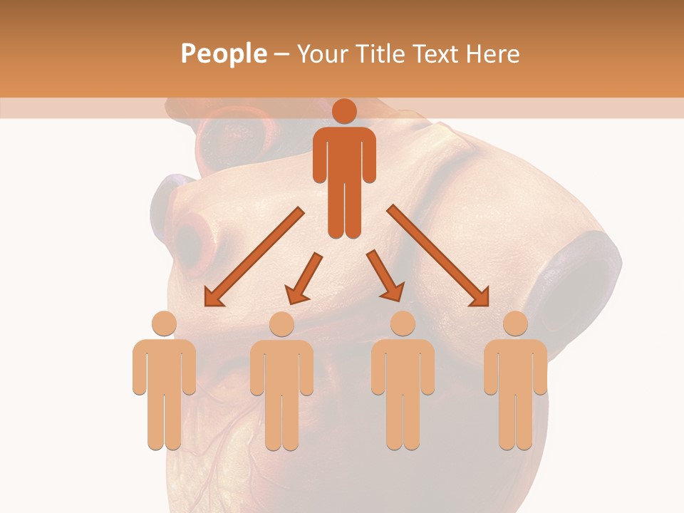 Doctor Body Science PowerPoint Template