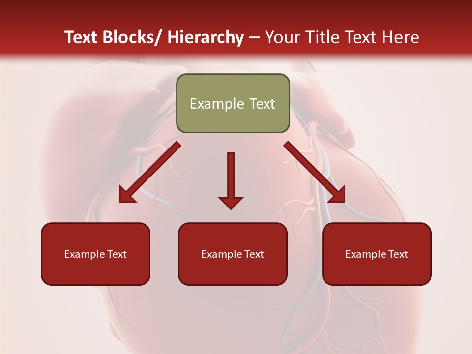 Body Health Illustration PowerPoint Template