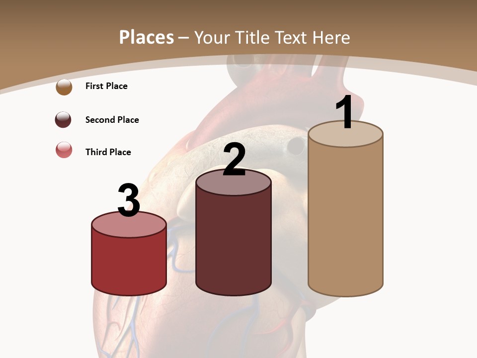 Health Care Real Cardiovascular PowerPoint Template