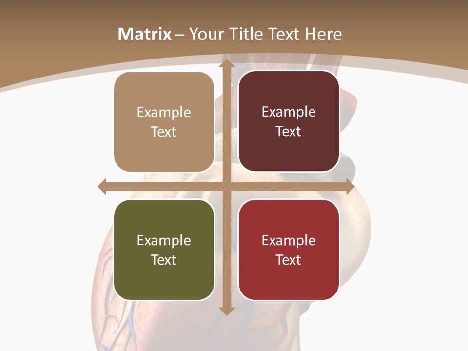 Health Care Real Cardiovascular PowerPoint Template