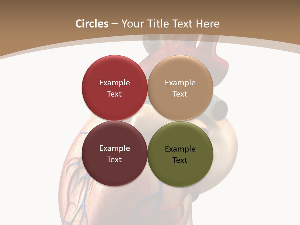 Health Care Real Cardiovascular PowerPoint Template