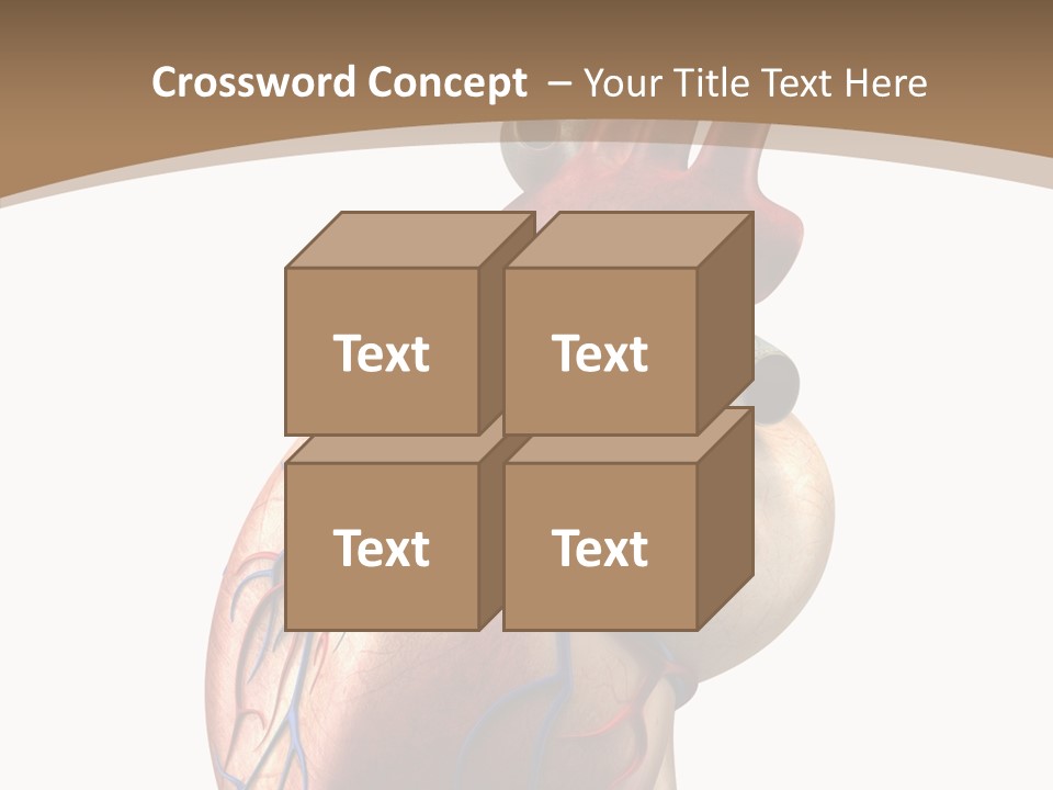 Health Care Real Cardiovascular PowerPoint Template
