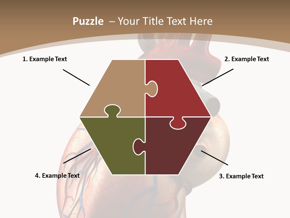 Health Care Real Cardiovascular PowerPoint Template