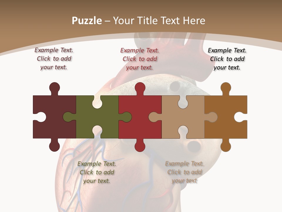 Health Care Real Cardiovascular PowerPoint Template