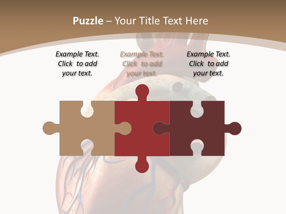 Health Care Real Cardiovascular PowerPoint Template