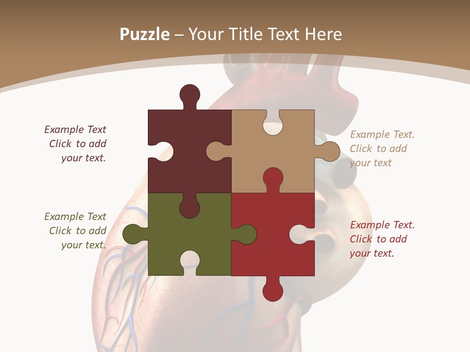 Health Care Real Cardiovascular PowerPoint Template