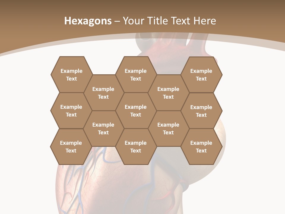Health Care Real Cardiovascular PowerPoint Template
