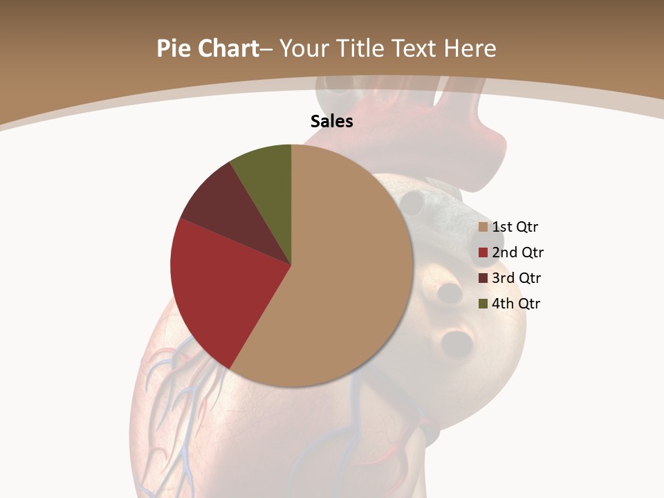 Health Care Real Cardiovascular PowerPoint Template