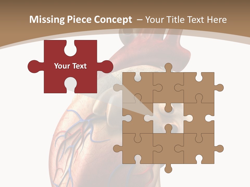 Health Care Real Cardiovascular PowerPoint Template