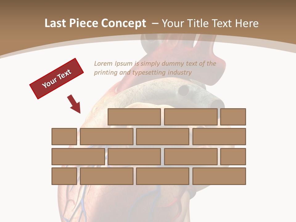 Health Care Real Cardiovascular PowerPoint Template