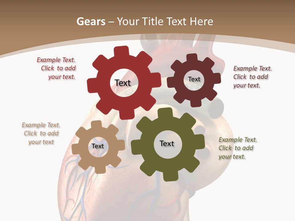 Health Care Real Cardiovascular PowerPoint Template