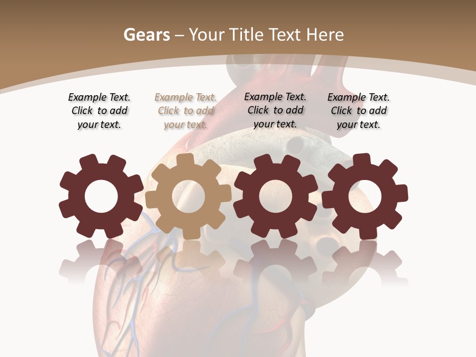 Health Care Real Cardiovascular PowerPoint Template