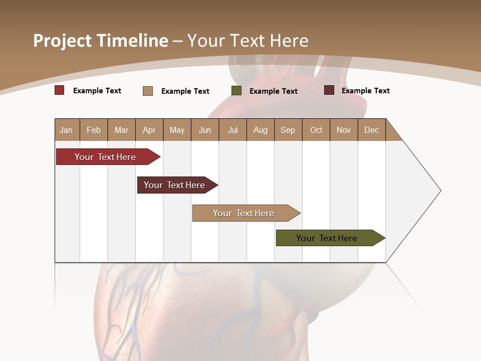 Health Care Real Cardiovascular PowerPoint Template