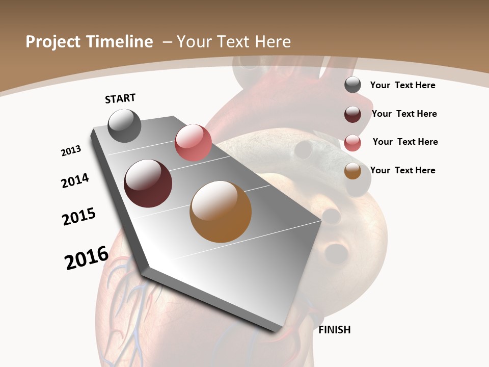 Health Care Real Cardiovascular PowerPoint Template