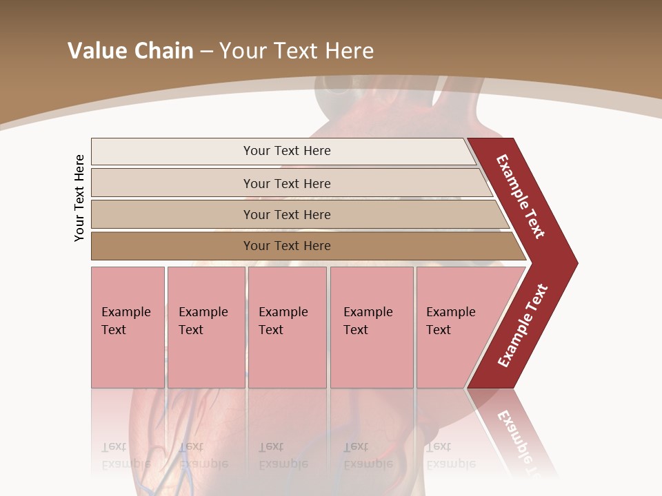 Health Care Real Cardiovascular PowerPoint Template